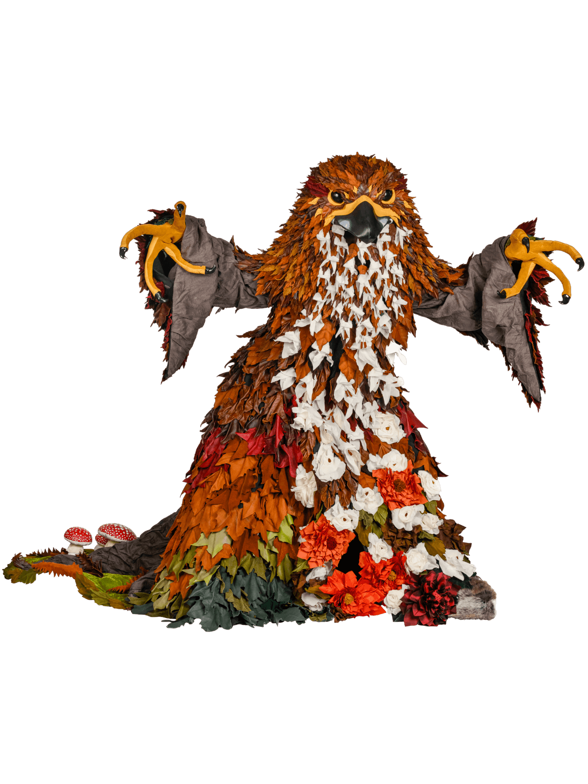 Autumn King, Catherine Anderton, New Zealand